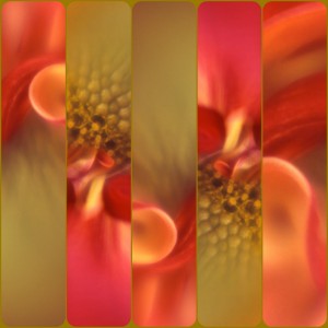 FRAGMENTED FLEURS